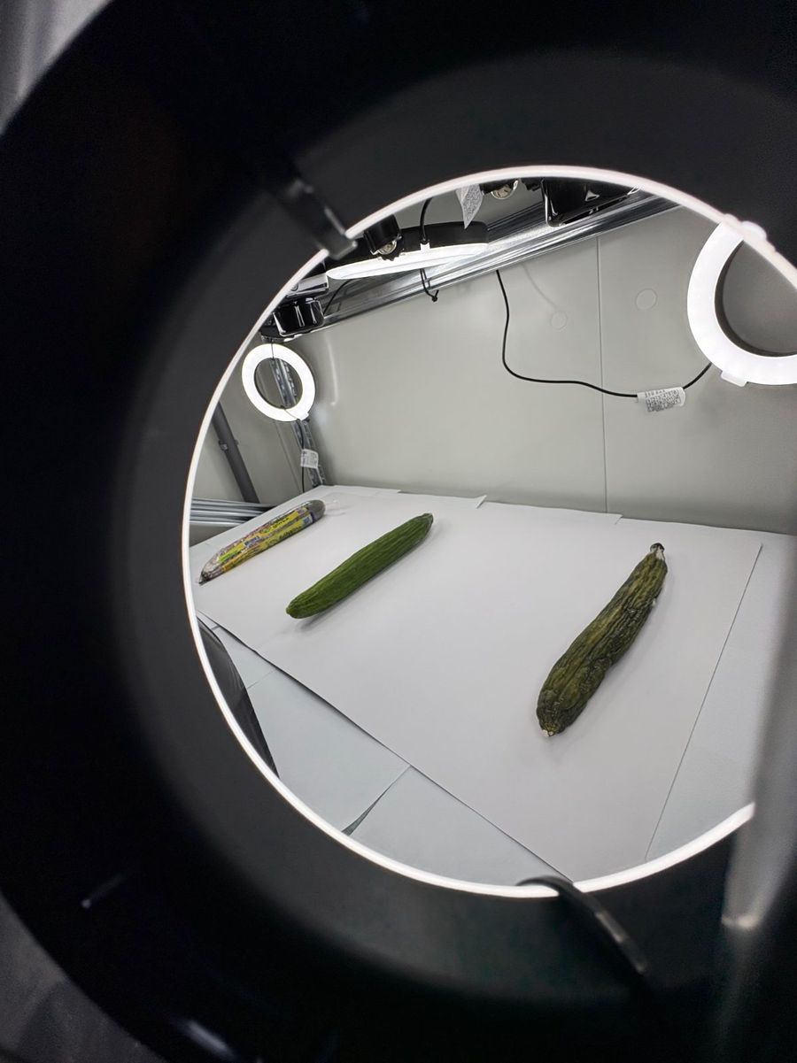 Shelf-life test chamber