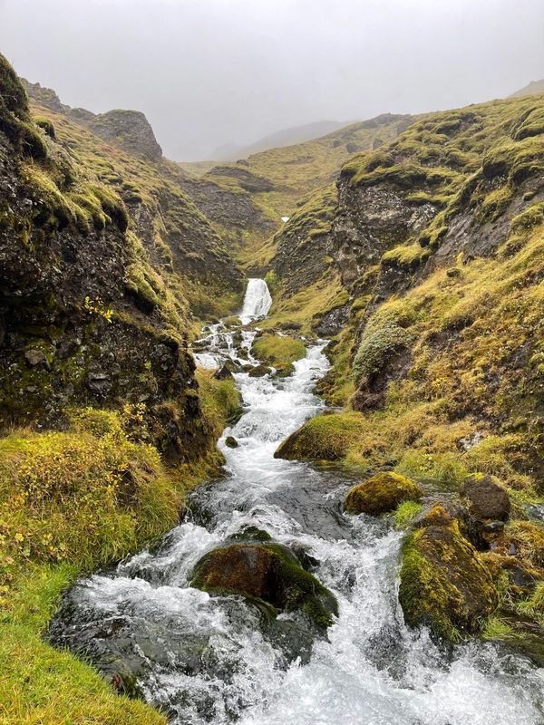 Icelandic stream